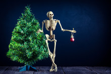 Still Life Photography : Skeleton Standing With Christmas Tree And Hold The Red Decorate Ball In Hand With Happiness Face Against The Dim Night
