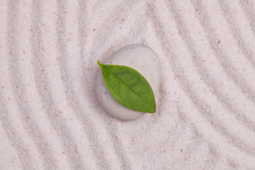 Wall Mural - Green leaf on a white zen pebble