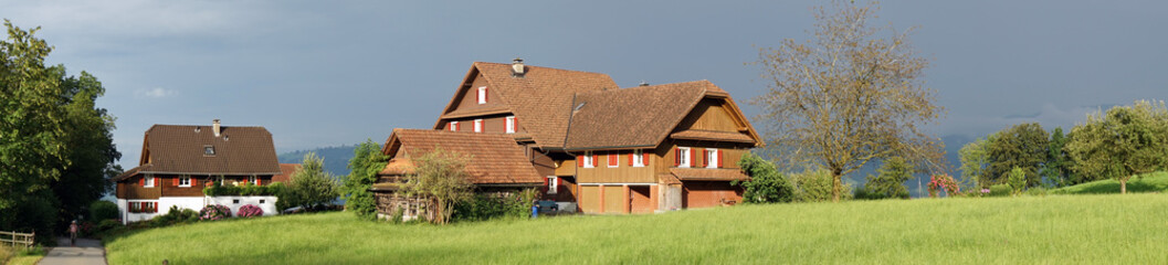 Wall Mural - Farm houses and green field