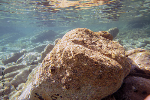 Fotografie, Obraz Sott'acqua ricci marini rocce e mare pulito in sardegna