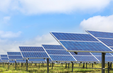 Wall Mural - solar photovoltaics panels in solar power station