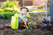 Little kid gardener planting apple tree near house