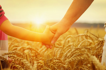 Wall Mural - Hands of mother and daughter on sun