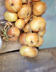 Sticker - Bunch of onions on an old wooden background