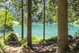 Fototapeta Na ścianę - mountain lake, laghi di fusine, italy