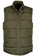 © eightstock - Gray, olive waistcoat