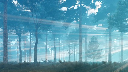 Wall Mural - foggy mystical pine forest with sunbeams shining through the trees at misty dawn or dusk. pan right 