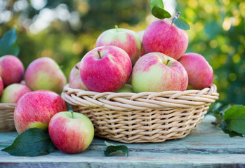 Wall Mural - Organic apples in a baskets