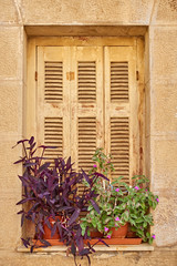 vintage european house window with flowerpts