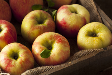 Poster - Raw Organic Honeycrisp Apples