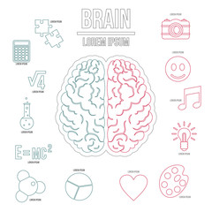 Wall Mural - Human brain infographics set in outline style. Brain function set collection vector illustration