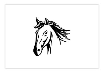 Wall Mural - head horse drawing style
