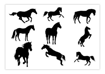 Wall Mural - silhouette of horse with many style and perspective pack