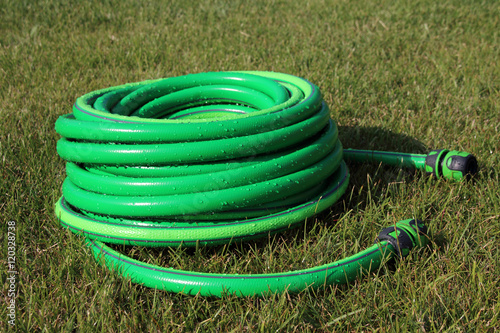 Fotografie, Obraz Garden hose bundle on the mown lawn in the summer garden