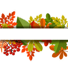 Wall Mural - White blank on autumn background with maple leaves.