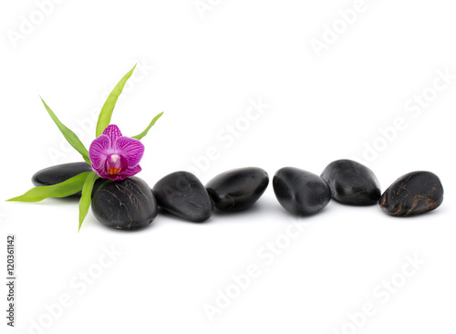 Fototapeta na wymiar Zen pebbles and orchid flower. Stone spa and healthcare concept.