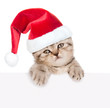 © Ermolaev Alexandr - Cute сat with red christmas hat peeking from behind empty board. isolated on white