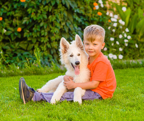 young boy embracing White Swiss Shepherd`s puppy