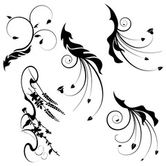 Wall Mural - Black and white ornaments, plants vector set