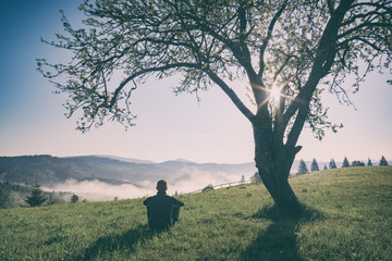 Man sitting on a hill under the tree