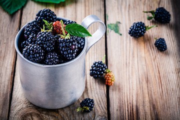 Wall Mural - juicy fresh organic blackberries in old mug