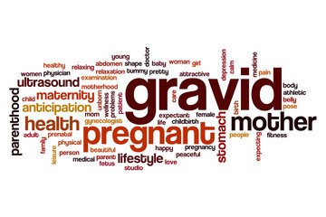 Wall Mural - Gravid word cloud