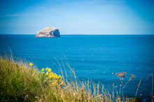 Bass Rock Or Bass Island In The Firth Of Forth, Scotland. Desert Island.
