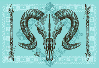 Wall Mural -  illustration  animal skull