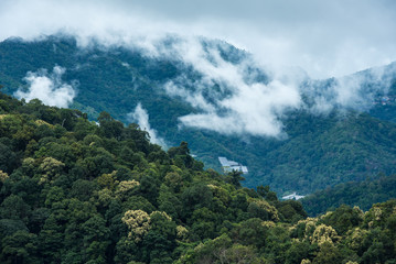 Mountains in tropical rainforest valley landscape with fog at Mo