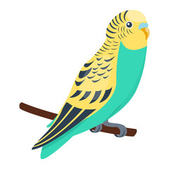 Cartoon parrot wild animal bird. Tropical parrot feather zoo bird, tropical fauna macaw flying ara. Cartoon exotic bird vector illustration.