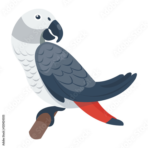 Cartoon parrot wild animal bird. Tropical parrot feather zoo bird, tropical f...