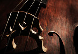 Part of musical string instrument, closeup