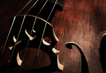 Part Of Musical String Instrument, Closeup