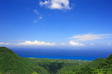 Fototapeta Natura - 屋久島の海と山