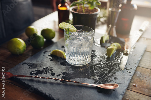 Photographie Glass of a freshly prepared gin and tonic