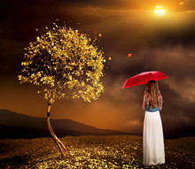 Lonely Girl With Umbrella Near Autumn Tree With Dark Cloud Sky. Sun Shines Through Clouds On Lonely Girl With Umbrella.
