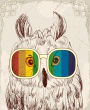 Vector Sketch Of Owls With Glasses. Retro Illustration