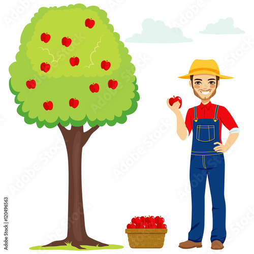 Young farmer man picking apple from tree with full basket - Buy this stock  vector and explore similar vectors at Adobe Stock | Adobe Stock