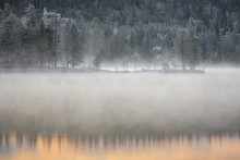 Forest And Lake In Mist, Lapland, Finland, Europe 