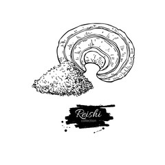 Sticker - Reishi mushroom vector superfood drawing. Isolated hand drawn  i