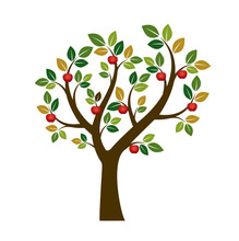 Color Apple Tree. Vector Illustration. Nature And Garden