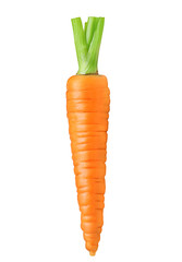 Carrot isolated on white