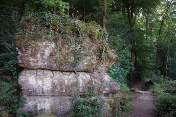 Wall Mural - Footpath in Ardennes