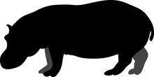 Drawing  Of A Black Silhouette Of A Hippopotamus On A White Background