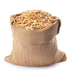 grain oats in burlap bag isolate