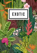 Vector Card Vintage. Exotic Flowers And Plants. Botanical Classic Illustration.