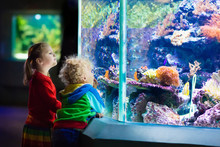 Kids Watching Fish In Tropical Aquarium