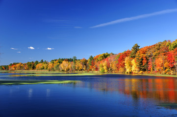 autumn colorful trees under morning sunlight reflecting in tranquil river