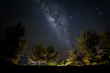Fototapeta  - Milky way Galaxy rise above trees. Image may contain soft focus, blur and noise due to High Iso, wide Aperture and Long exposure.