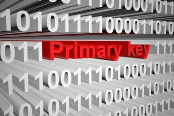 primary key in the form of binary code, 3D illustration